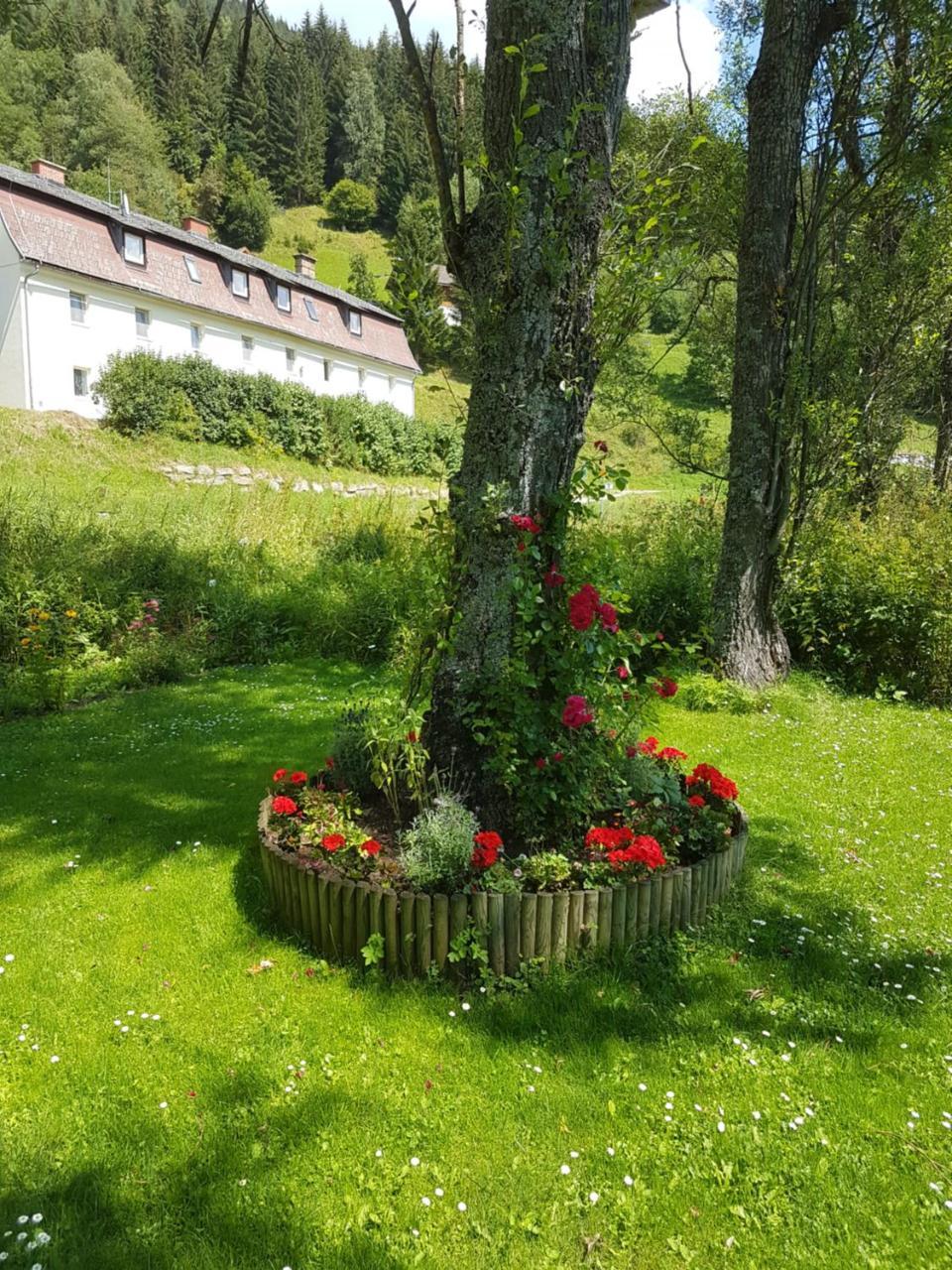 Riverside Ski Apartment Ramingstein Εξωτερικό φωτογραφία