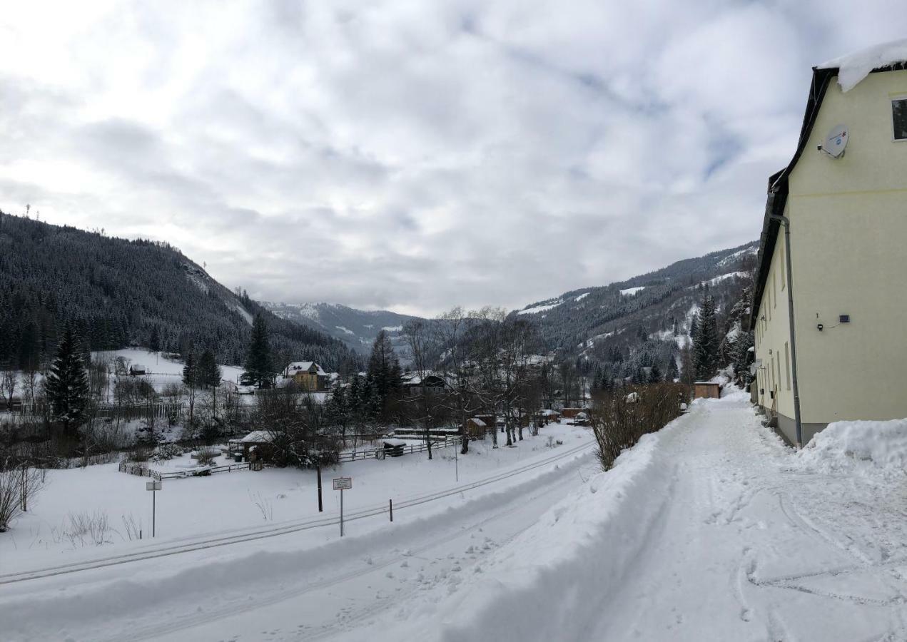 Riverside Ski Apartment Ramingstein Εξωτερικό φωτογραφία